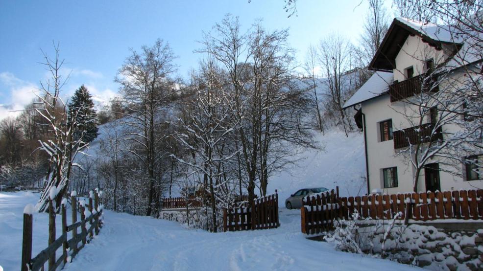 La Craita Villa Bran  Dış mekan fotoğraf