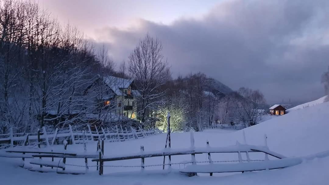 La Craita Villa Bran  Dış mekan fotoğraf